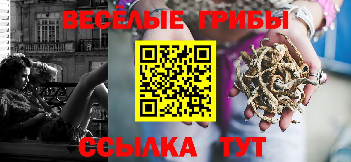 Псилоцибиновые грибы MAGIC MUSHROOMS Мурино