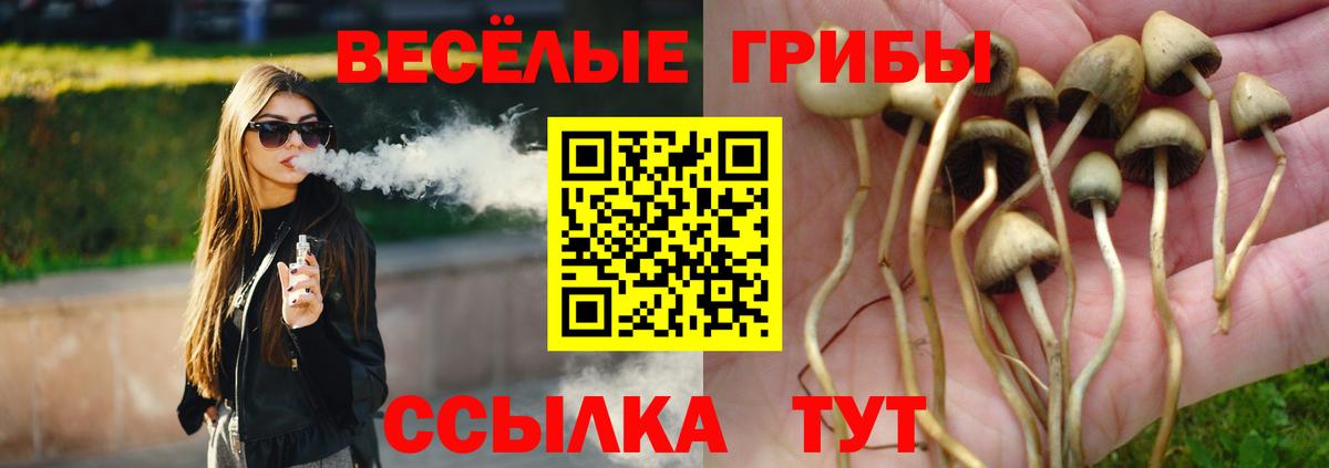 Псилоцибиновые грибы Magic Shrooms  Галлюциногенные грибы мицелий  Вход с VPN  Мурино 